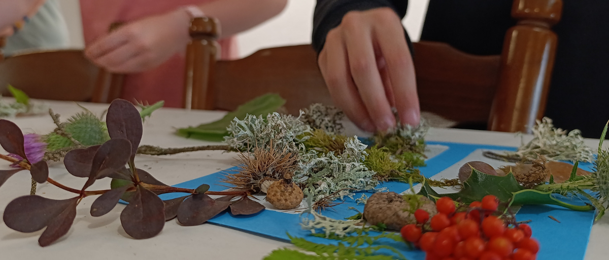 Permalien vers: Groupes et activités