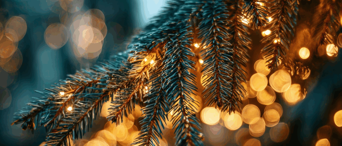 Permalien vers: Planning du mois