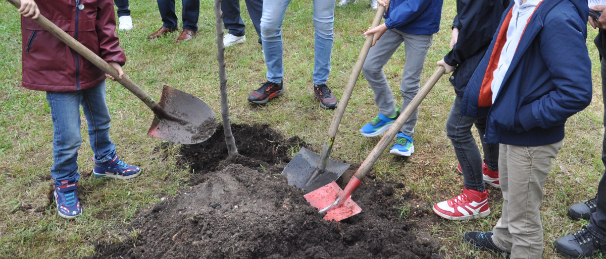 Permalien vers: Notre communauté