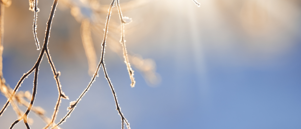 Permalien vers: Planning du mois