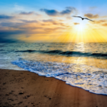 Tous ceux qui sont conduits pour l'Esprit de Dieu sont enfants de Dieu