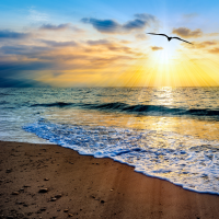 Tous ceux qui sont conduits pour l'Esprit de Dieu sont enfants de Dieu