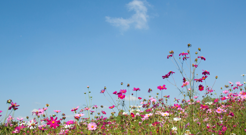 Permalien vers: Planning du mois