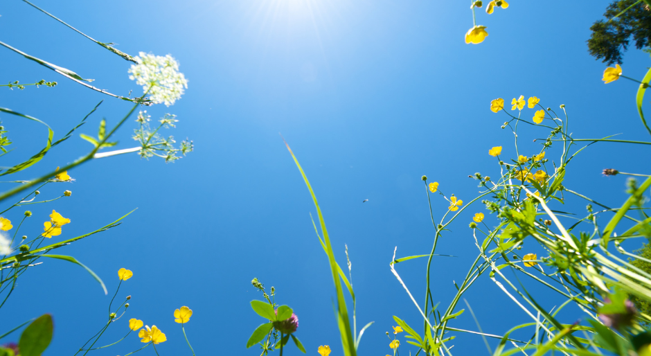 Permalien vers: Planning du mois