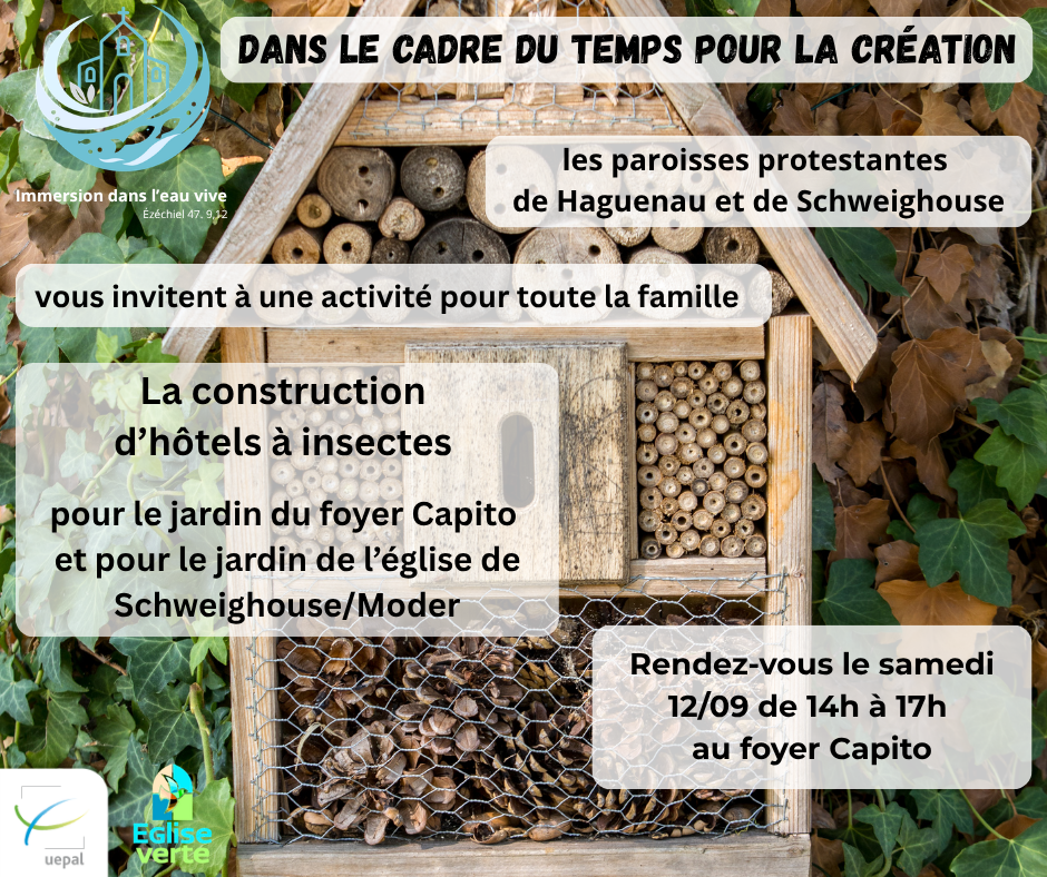 Création d'hôtels à insectes